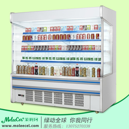 广东冰柜MLF-20002米内机A款风幕柜冷柜价格广州厂家
