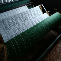 桂林*冲生物毯 保温保湿绿化毯环保草毯 河道整治 城市绿化
