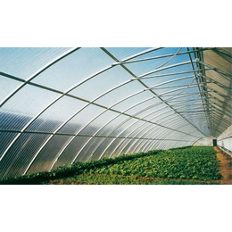 泰安耐力板 生态阳光板温室大棚