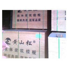 工地建筑模板-玖林木业(在线咨询)-温州建筑模板