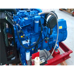 汽车水泵修理-水泵修理-汉阳鹦鹉乐声电器修理
