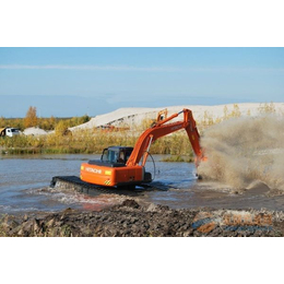 湿地挖机租用|文淼挖掘机(在线咨询)|湿地挖机