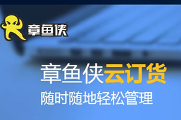 中山市电商软件可以和什么线下进销存软件无缝对接