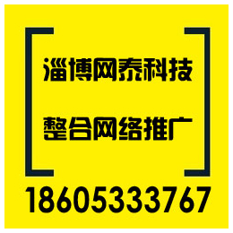 淄博网络营销选易站通霸屏、淄博网泰科技、博山网络营销