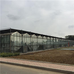 玻璃温室-合肥玻璃温室建设-宿州玻璃温室效果图