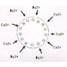 工业循环水领域的防垢阻垢 钙镁离子集垢装置缩略图