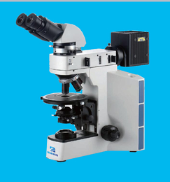 领卓(图)-XYP系列偏光显微镜-江门偏光显微镜