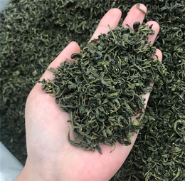 散装绿茶批发价-峰峰茶业(在线咨询)-散装绿茶