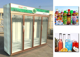 饮料冷冻柜型号-海南饮料冷冻柜-达硕厨房设备制造