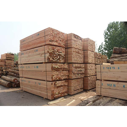 厂家出售铁杉建筑木方,铁杉建筑木方,顺莆木材(查看)