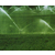 合肥喷灌_安徽安维喷灌设备_自动喷灌系统缩略图1