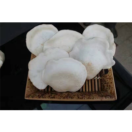 精农科技(图)_装配式蘑菇箱房_鄂州市箱房