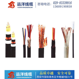 KVV控制电缆生产厂家、汉阴KVV控制电缆、远洋电线电缆