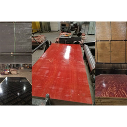 模板木方厂家-海口模板-海南宏发木业