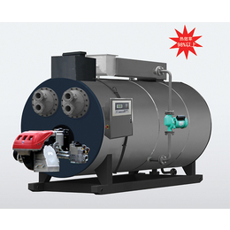 六安蒸汽锅炉-合肥四方锅炉设备-蒸汽锅炉价格