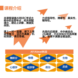 AP网课|在线学习哪家好|AP网课辅导老师