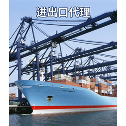 蓝海骆驼外贸(图)|莆田进口清关代理|进口清关代理