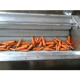 长治清洗机-诚达食品机械-多功能蔬菜清洗机生产