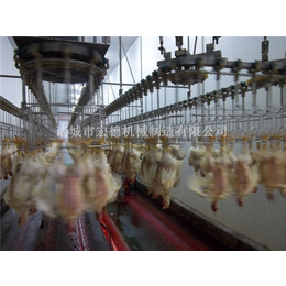 白条鸡屠宰设备哪家好、吐鲁番地区白条鸡屠宰设备、宏德机械