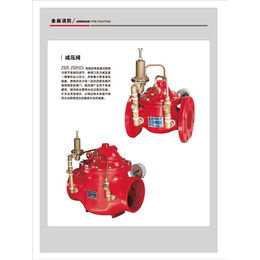 消防阀门报价-消防阀门-金扇消防(查看)