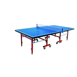 乐山乒乓球台,征途体育公司,大彩虹乒乓球台价格