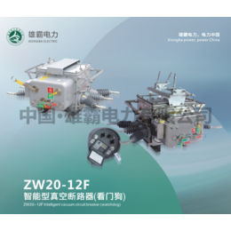 ZW20-12F户外智能真空断路器缩略图