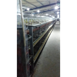 禽翔笼具养殖设备(图)、五莲层叠式鸡笼厂家、层叠式鸡笼
