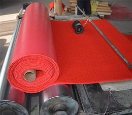 pvc喷丝地毯生产设备-特恩特(在线咨询)-喷丝地毯