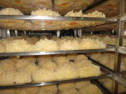 黄花菜烘干房生产加工-众胜食品干燥设备价格-梅州烘干房