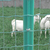 厂家供应 园林荷兰网 工地铁路护栏网 养殖防护网 果园铁丝网缩略图2