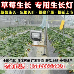 生长植物灯-必然科技-上海植物灯