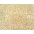 光面黄锈石,京华石材(在线咨询),莱芜黄锈石缩略图1