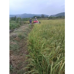 2手水稻收割机,水稻收割机,中热农业机械