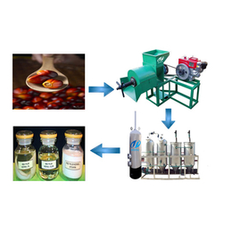 棕榈油生产,小型棕榈油生产线,棕榈榨油设备(****商家)