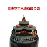 重庆高压电缆厂家-高压电缆选型-国标品质
