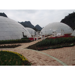 穹顶鸟巢温室、绣田农业(在线咨询)、上海鸟巢温室