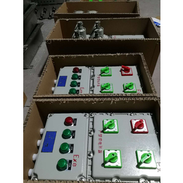 供应山东东营箱BXM-2KXD防照明箱4回路开关箱电机控制