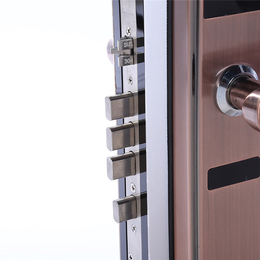 防盗门锁具_丰和锁具放心品质_防盗门锁具配件