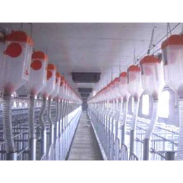 自动化养殖设备厂家|潍坊双联机械公司|崇左养殖设备
