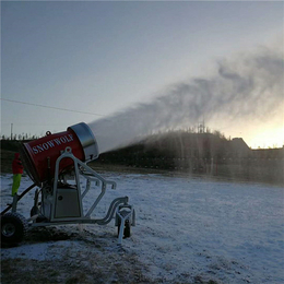 滑雪场造雪机规划设计流程 小型人工造雪机厂家*