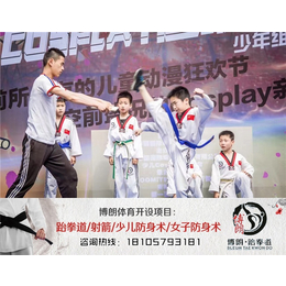 青少年跆拳道培训课程|博朗(在线咨询)|武义青少年跆拳道培训