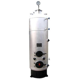 蓝山锅炉(图)-立式蒸汽锅炉定制-立式蒸汽锅炉