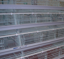 层叠式鸡笼的价格-层叠式鸡笼-禽翔鸡笼厂