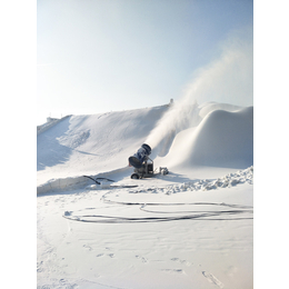 迪特网红南方造雪机厂家