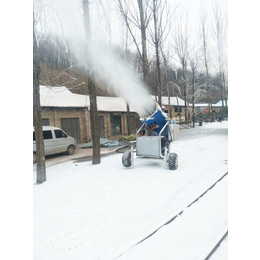 河北迪特新型滑雪场****高温造雪机