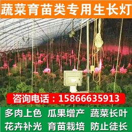 植物灯图片-牡丹江植物灯-必然科技(查看)