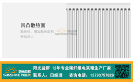 碳纤维电暖器多少钱-扬州碳纤维电暖器-济宁益群(查看)