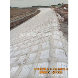 江苏悦顺水下(图)|模袋混凝土护坡施工|德阳模袋护坡