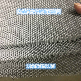 厂家定做铝基蜂窝纳米光催化板光触媒铝基蜂窝网二氧化钛光触媒滤