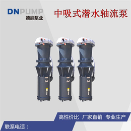 潜水轴流泵生产厂家-北京潜水轴流泵-天津德能泵业(查看)